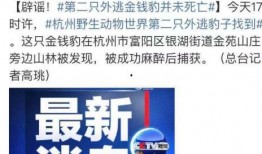 大连爆料招贼事件最新,邻里失和引发惊人反转